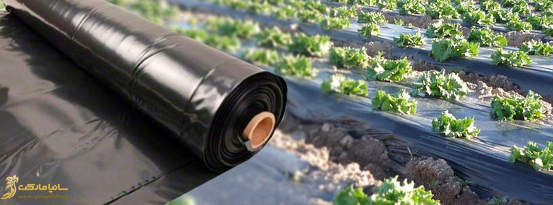 بسته بندی صیفی جات | بسته بندی صیفی جات صادراتی | بسته بندی صیفی جات خشک | انواع بسته بندی صیفی جات | نایلون بسته بندی صیفی جات | پلاستیک صیفی کاری | خرید پلاستیک صیفی جات | قیمت نایلون صیفی جات | قیمت پلاستیک صیفی کاری | بسته بندی سبزیجات و صیفی جات | نایلون کشت صیفی جات | قیمت نایلون کشت صیفی جات | قیمت پلاستیک صیفی جات